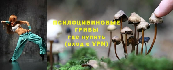 соль курить ск Алзамай