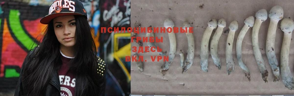 ECSTASY Алексеевка