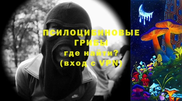 гашик Протвино
