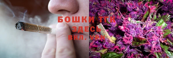 соль курить ск Алзамай