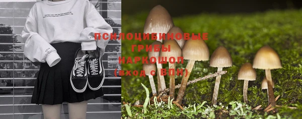 ECSTASY Алексеевка