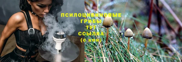 сатива Алексин