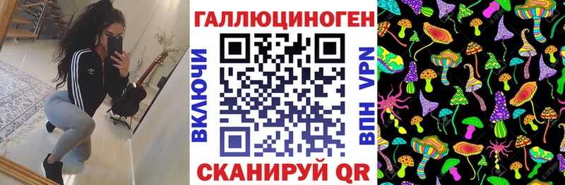 купить наркотики цена  Кореновск  Псилоцибиновые грибы GOLDEN TEACHER 